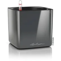 LECHUZA Cube Glossy 16 Komplettset  17 x 17 x 16 cm anthrazit highgloss