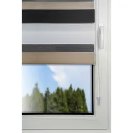 MYDECO Doppelrollo Just-Triple 60 x 160 cm braun/weiß