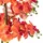 Atmosphera Créateur d'intérieur Künstliche Orchidee SANAE im Blumentopf, 65 cm | Orange