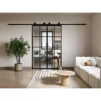 Doppel-Schiebetür mit Laufschienensystem - Aluminium & Sicherheitsglas - 2 x 205 x 93 cm - WILDEN II - Schwarz