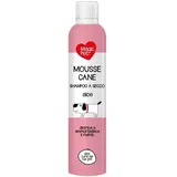 Hund Shampoo Trocken Mousse 300 Ml. Aloe Magic Pet