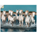 Artland Wandbild »Camargue Pferde galoppieren am Strand«, Haustiere, (1 St.), weiß