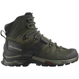 Salomon Schuhe Quest 4D 4 Gtx, 412925 - Grün - 48