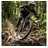 RockShox Psylo Silver RC 29 Zoll 150 mm  Schwarz