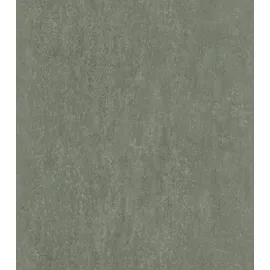 Rasch Textil Rasch Tapeten Vliestapete (universell) Grün 10,05 m x 0,53 m Highlands 550078