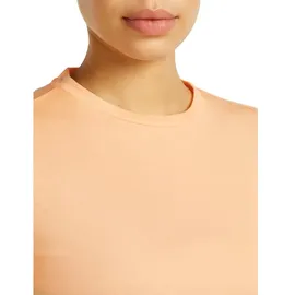Icebreaker Merino Core Panax beige S
