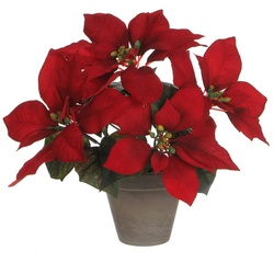 Mica Decorations Rote Ponsettia Pflanze Im Grauen Topf 27X35Cm