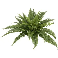 Creativ green Kunstpflanze Bostonfarn ohne Topf, Creativ green, Höhe 60 cm, mit zahlreichen Farnwedeln grün