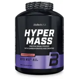 BIOTECH Hyper Mass Strawberry Pulver 4000 g