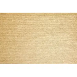 Pronappe 324040I 4x Schachtel mit 500 Tischsets, Papier Tiss Lack, einfarbig, Kraft - Format 30x40cm -