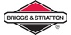 Briggs & Stratton