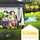 tillvex Faltpavillon 3 x 3 m inkl. 2 Seitenteile Anthrazit