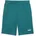 Puma ESS Color Logo-Shorts 25 4 cm TR