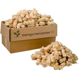 mgc24 Anzünder aus Holzwolle und Wachs Ofenanzünder Kaminanzünder Grillanzünder Ökologisch Kaminholzanzünder Holzanzünder 10kg (ca. 760 Stück)