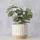 Boltze Diona Ø 11 x 9,5 cm Beige