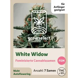 White Widow | Feminisierte Cannabissamen von GrowSelect | 7 Hanfsamen