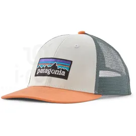 Patagonia P-6 Logo Lopro Trucker Cap grau One Size