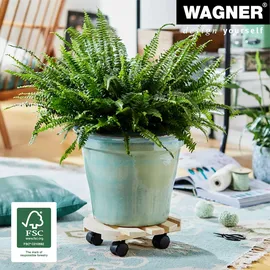Wagner-System PALETTI Pflanzenroller Ø 30 x 8 cm