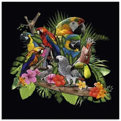 Glasbild ARTLAND "Papageien Graupapagei Kakadu Dschungel" Bilder Gr. B/H: 40 cm x 40 cm, Glasbild Vögel quadratisch, 1 St., bunt Glasbilder in verschiedenen Größen