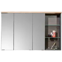 mömax Spiegelschrank MEMPHIS Grau