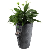 Kadax Blumentopf mit Einsatz und Griffen, aus Kunststoff, 48.5