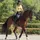 Eskadron Gamaschen MESH black truffle Heritage 2025 M