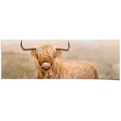 Poster REINDERS "Hochlandrind", beige (farbe bild(er): beige), B:158cm H:53cm T:0,1cm, Papier, Bilder