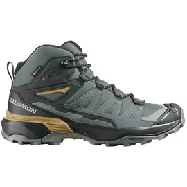 Salomon X Ultra 360 Mid GTX Herren Urban Chic/Black/Plantation 44 2/3