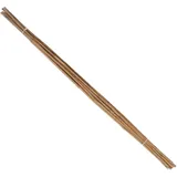 FP Tonkinstab 10er Set 150 cm