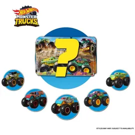 Hot Wheels Monster Trucks Die-Cast 2er Pack