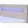 Cotta Boxbett COTTA "Kelly", grau (elephant), B:145cm L:207cm, 100% Polyester, Komplettbetten, ausgestattet mit LED-Licht, inkl. Bettkasten