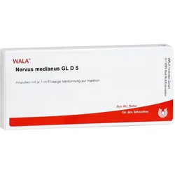 Nervus Medianus Gl D 5