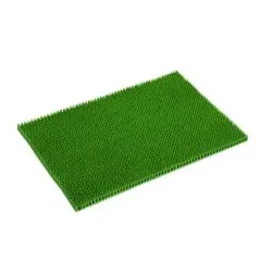ASTRA Season Außenbereich Türmatte, 40 x 60 cm 0244015030 , Farbe: grün