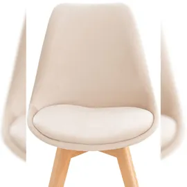 CLP Linares 4 St. Samt beige