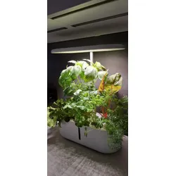Hydro Garden | Set Mini Garden (10 Steckplätze)