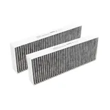 Bora BAKFS Aktivkohlefilter-Set (2 Stück)