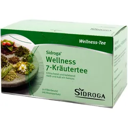 Sidroga Wellness 7-Kräutertee