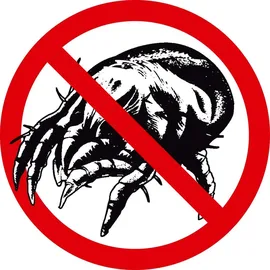 Sannwald Winterdecke Derby Duo Steppbett Größe 155x220 cm