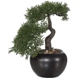Creativ green Kunstbonsai CREATIV GREEN "Bonsai Zeder im Keramiktopf", grün, H:25cm, Obermaterial: 100% Polyethylen, Kunstpflanzen