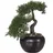 Creativ green Kunstbonsai CREATIV GREEN "Bonsai Zeder im Keramiktopf", grün, H:25cm, Obermaterial: 100% Polyethylen, Kunstpflanzen