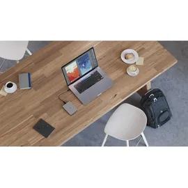 LaCie Mobile Drive Moon 1 TB USB 3.0 Silber STLP1000400