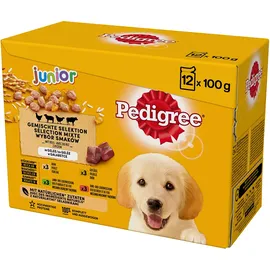 PEDIGREE Multipack Junior in Gelee 12 x 100 g