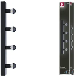 Paulmann Regula II 40 W 4000 K Schwarz 60 cm