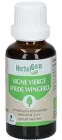 HERBALGEM - Vigne Vierge Bio Complément Alimentaire Extrait De Bourgeon Frais Pour Circulation, Antioxidant, Santé de la peau et cardiovasculaire 30 ml Goutte(S)