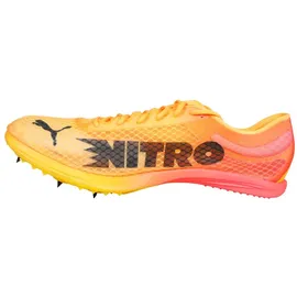 Puma Evospeed Distance Nitro Elite+ 4 herren leichtathletikschuhe - 43