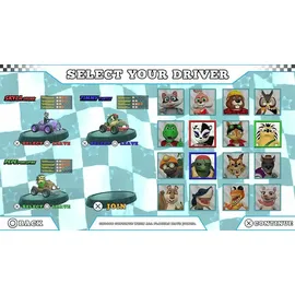 Animal Kart Racer Bundle - Edition - (PEGI) (Nintendo Switch)