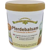 Axisis Pferdebalsam mit Teufelskralle & Murmeltieröl Öl 500 ml