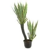 Europalms Orchideen-Kaktus, 160cm