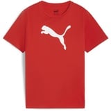 Puma Teamrise Jersey Cotton Jr T-Shirts Puma Rot-puma Weiß 164