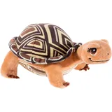 HEUNEC Heunec® SDMT Schildkröte Henrietta, klein, braun